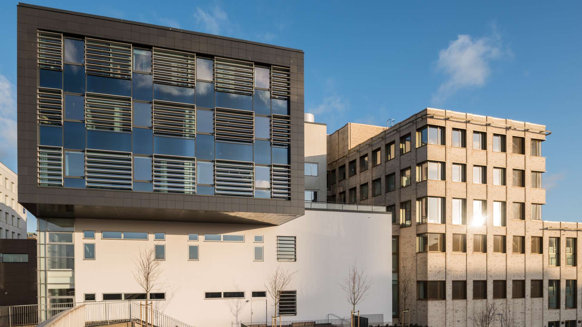 Exteriörsbild